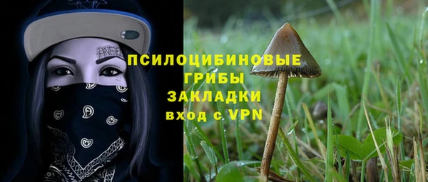 дживик Беломорск