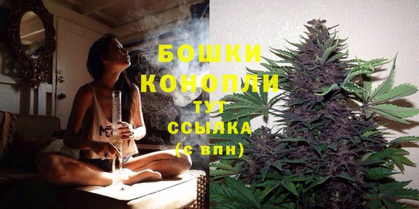 прущие крисы Белоозёрский