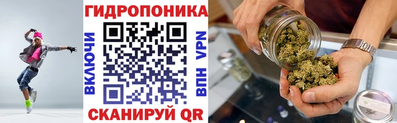 где купить наркоту  Елабуга  Шишки марихуана индика 